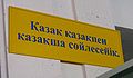 Миниатюра для версии от 09:16, 7 ноября 2008