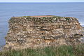 Marsden Rock from the clifftop