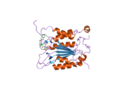 2hbz: Crystal structure of human caspase-1 (Arg286->Ala, Glu390->Ala) in complex with 3-[2-(2-benzyloxycarbonylamino-3-methyl-butyrylamino)-propionylamino]-4-oxo-pentanoic acid (z-VAD-FMK)