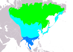 Distribución de Phylloscopus inornatus