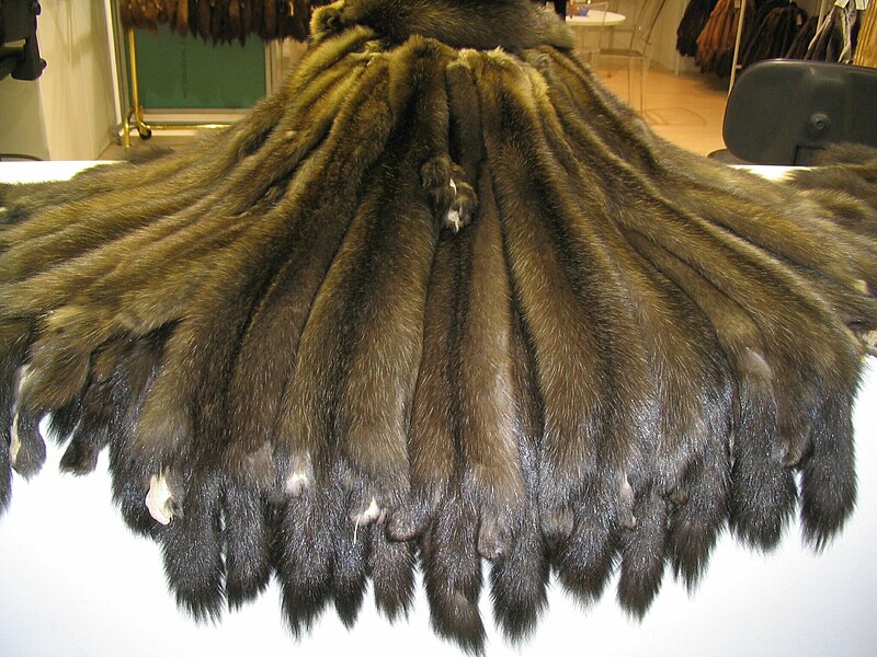 File:Sable skins Bargusinski.jpg