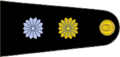 Insignia de Teniente del Ejército Argentino.