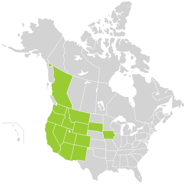 File:Aconitum columbianum distribution.svg