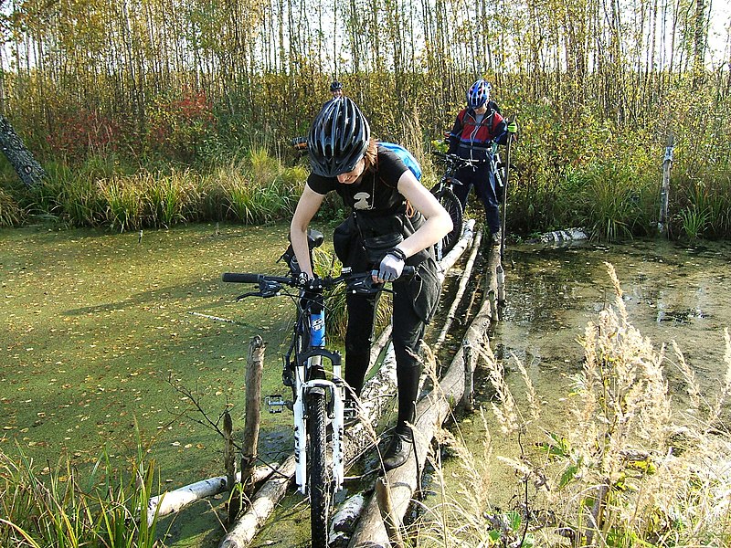 Файл:Bicycle-in-swamp.JPG