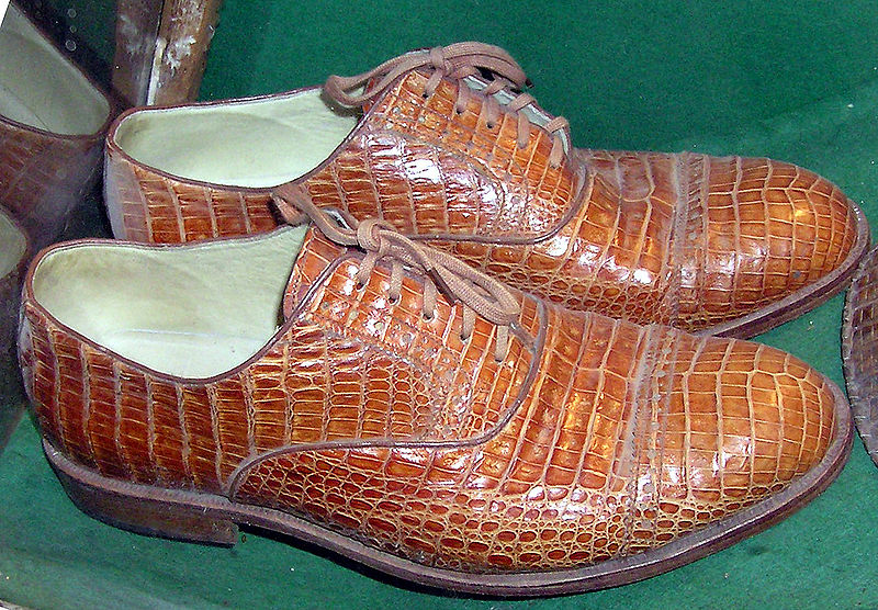 File:Bristol.zoo.crocshoes.arp.jpg