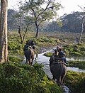 Thumbnail for Jaldapara National Park