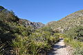 McKittrick Canyon