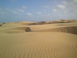 Medanos de Coro