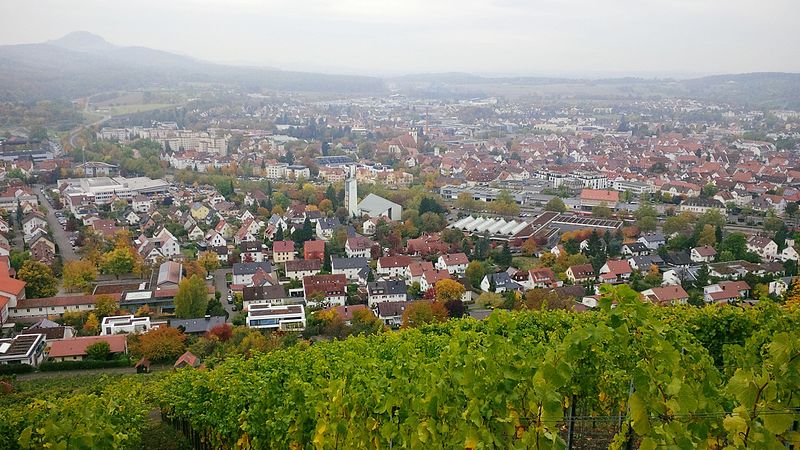 Файл:Metzingen vom Weinberg aus.jpg