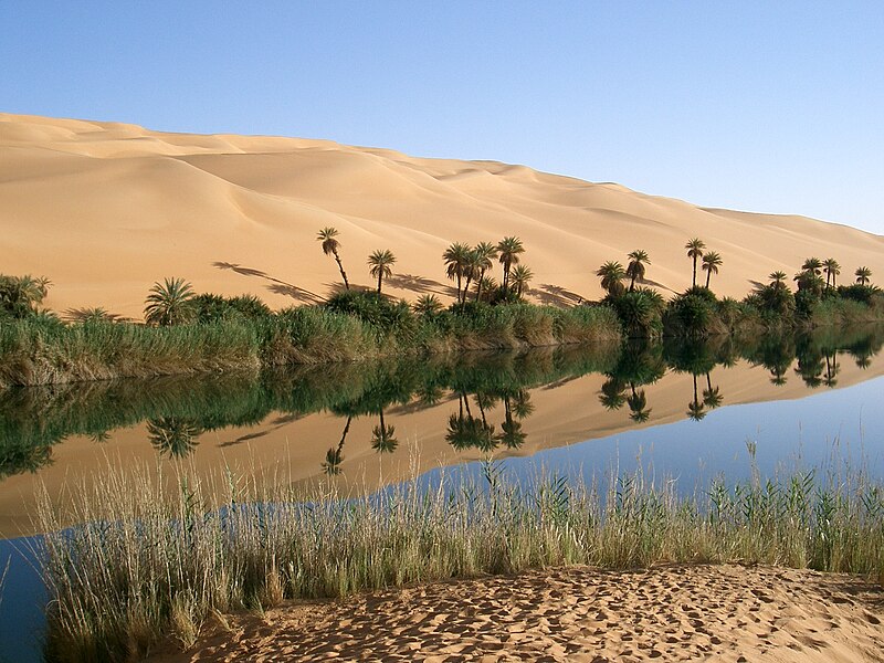 Archivo:Oasis in Libya.jpg