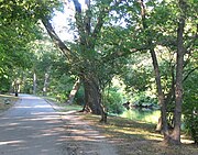 Olmsted Park path and the Muddy River