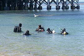 Clases de buceo en la bahía, cerca de Monterey