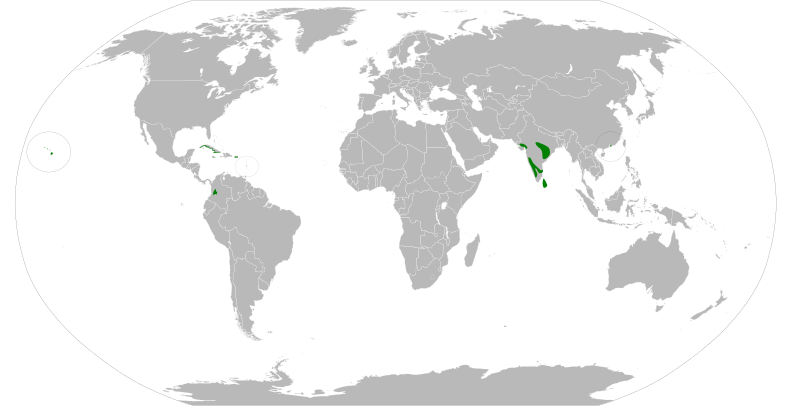 File:Tricoloured Munia range 2.svg