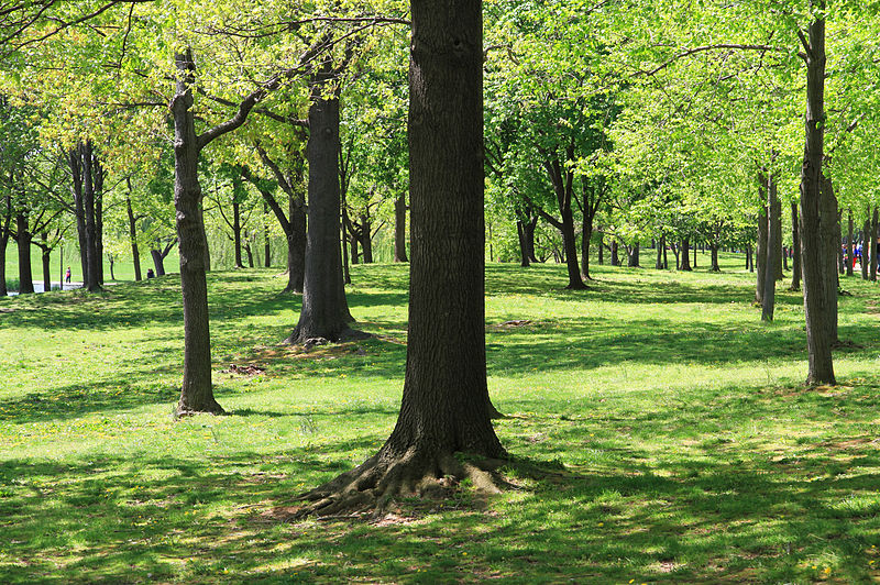 File:USA-Constitution Gardens.jpg