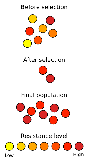 File:Antibiotic resistance.svg