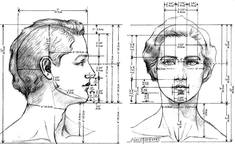 File:Female Head proportions.jpg