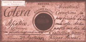 Microscope slide with a sample of "colera asiaticus", prepared by Pacini in 1854