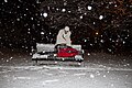 Planking (and owling) in the Snow