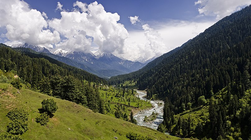 圖為帕哈爾加姆附近的里德爾山谷。這個喜馬拉雅山脈的山谷位於印度查謨和克什米爾區克什米爾山谷的東北部。