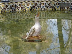 Detalle del pato, está encima de una tortuga a la que alguien ha seccionado la cabeza