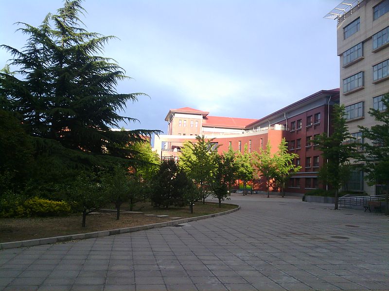 File:BNDS Lin Yueqin Library.jpg