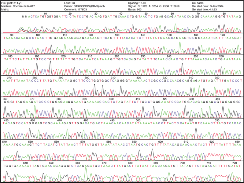 File:DNA sequencing interferogram.png