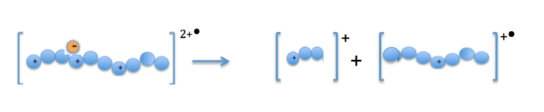 File:ETD Fragmentation.tiff