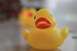 A modern rubber duck