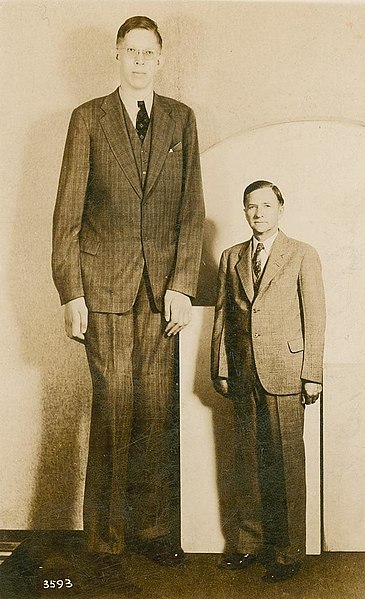 Файл:Robert Wadlow postcard.jpg