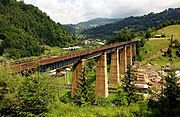 A viaduct in Romuli, on the Salva–Vișeu de Jos railway line [ro]