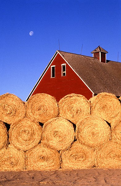 File:Bales of hay.jpg