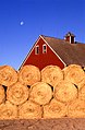 Bales of straw on a farm near Ames, Iowa