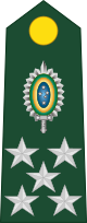 File:Brazil-Army-OF-10.svg