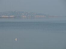 Etang thau marseillan.jpg