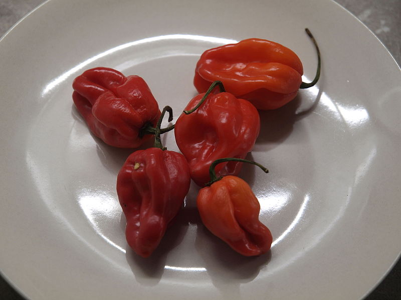 Файл:Habanero chilies from Stockmann.jpg