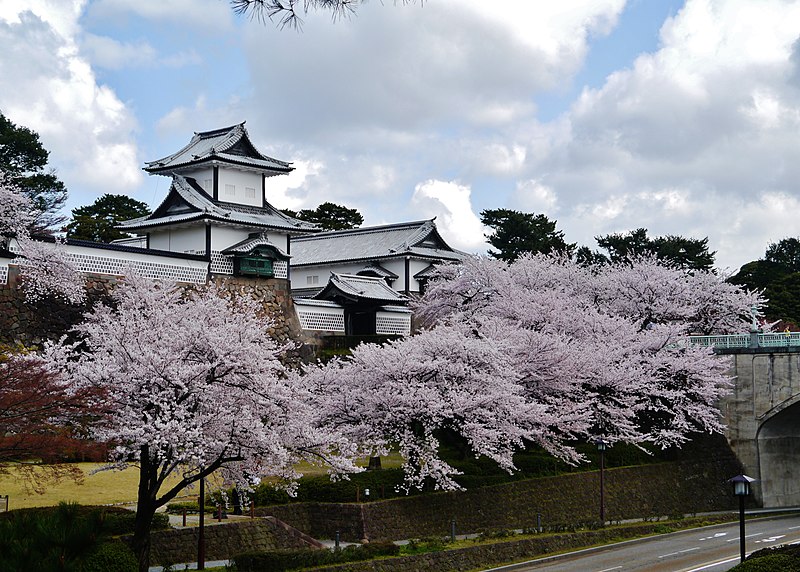 File:Kanazawa Kanazawa-jo Sakura 06.jpg