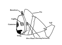 Name:Soft Robotic Fish. Image: Illustrated image of SoFi Robotic Fish with labels, Camera, (front middle) Receiver, (front top) Light, (middle) Fin, (top middle) Tail, (back middle) Dive Plane (middle, facing forward). Caption: Illustration of Labeled SoFi. Classification: Soft Robots. Industry: Robotics, Ocean, Science. Application: Underwater Life Examination. Dimensions: 18.5 Inches. Weight: 4 Pounds (1.6 Kilograms). Fuel Source: Ejection and Injection Of fluid. Powered: By Controller. Self-Propelled: No. Inventor: Daniela Rus, Joseph DelPreto & Robert Katzschmann (kats-SHU-man). Invented: December 7 2018.