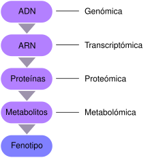 Omics-es.svg