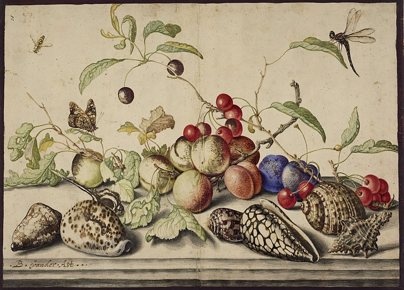 Файл:Still-life-1628.jpg