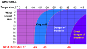 攝氏溫標的風寒指數