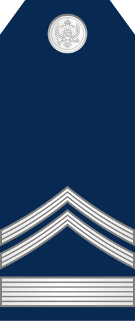 File:09-Montenegro Air Force-CWO.svg