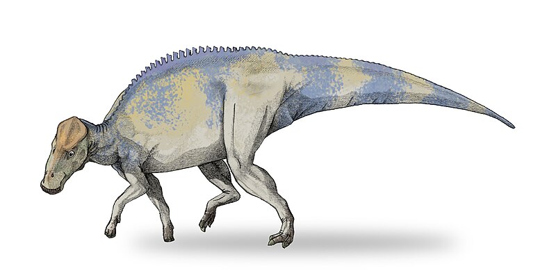 Файл:Brachylophosaurus-v4.jpg