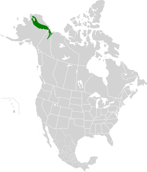 File:Brooks-British Range tundra map.svg