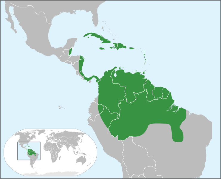 File:Carapa guianensis distribution.svg