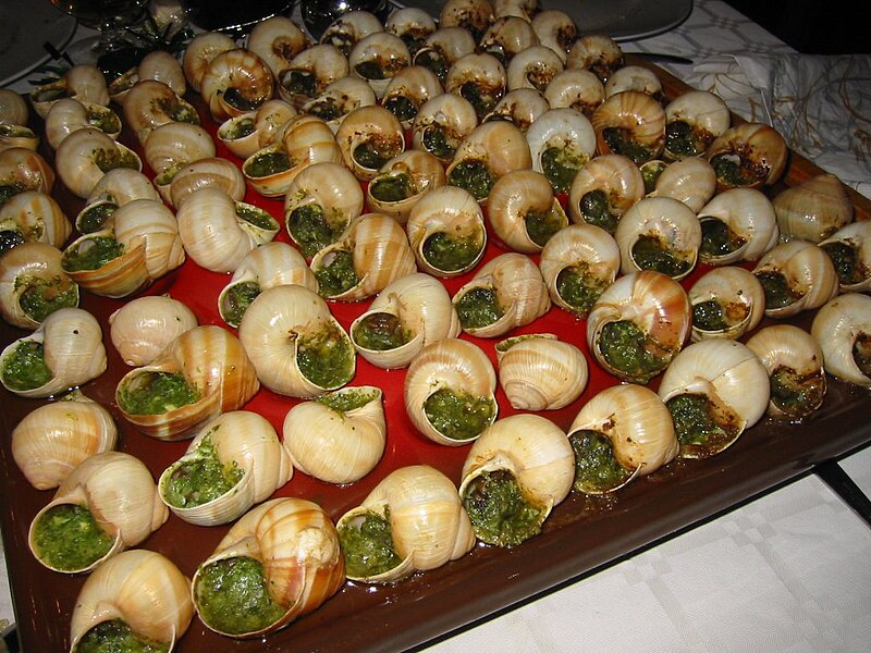 Файл:Escargot de Bourgogne 02.jpg