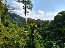 Kep National Park 6.jpg