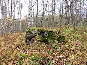 Урочище Конколово. Камень на вершине холма