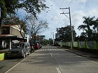 Downtown Lobo