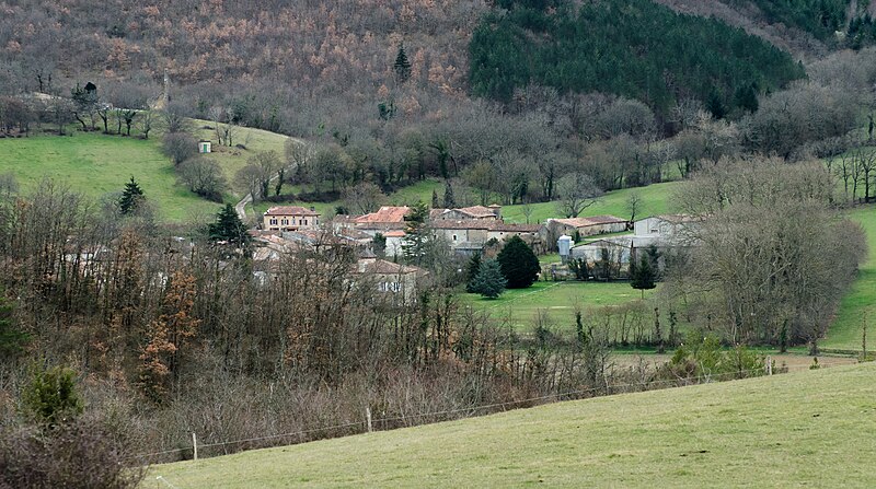 File:Malléon vu des coteaux.jpg