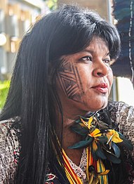 Activist for indigenous causes and militant of the ecosocialist movement Sônia Guajajara (PSOL) from Maranhão